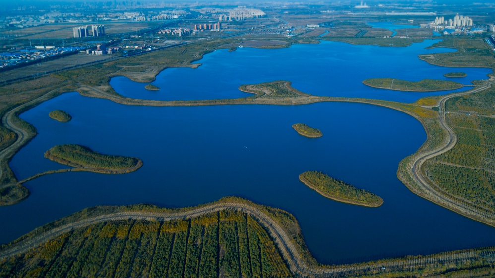 东丽湖旅游度假区全景图